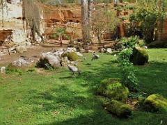 149 BIO PARC DE DOUE LA FONTAINE 6- 2016_000038